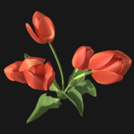 Alternative view of Tulip Flower (v10)