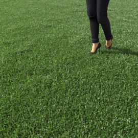 Alternative view of Cut Bermuda Grass (v2)