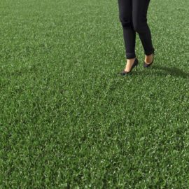 Alternative view of Cut Bermuda Grass (v3)