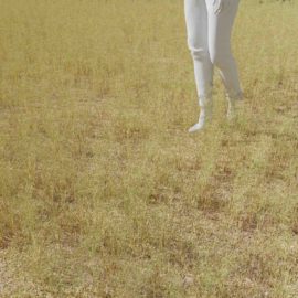 Alternative view of Silver Hairgrass (v2)