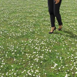 Alternative view of Daisy (v7)