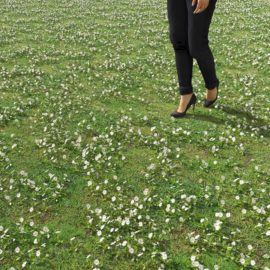 Alternative view of Daisy (v8)