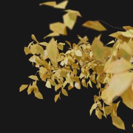 Alternative view of White Oak (v4)