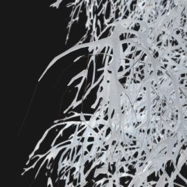 Alternative view of Birch Winter (v12)