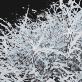 Alternative view of Cherry Blossom Winter (v5)