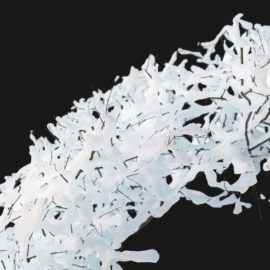 Alternative view of European Hornbeam Winter (v1)