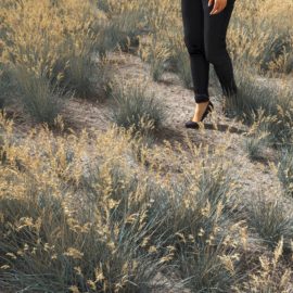 Alternative view of Blue Oat (v5)