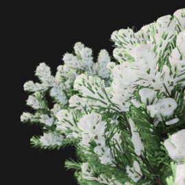 Alternative view of Mountain Pine Winter (v4)