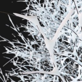 Alternative view of Oak Winter (v3)