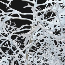 Alternative view of Plane Winter (v10)