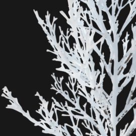 Alternative view of Red Maple Winter (v4)