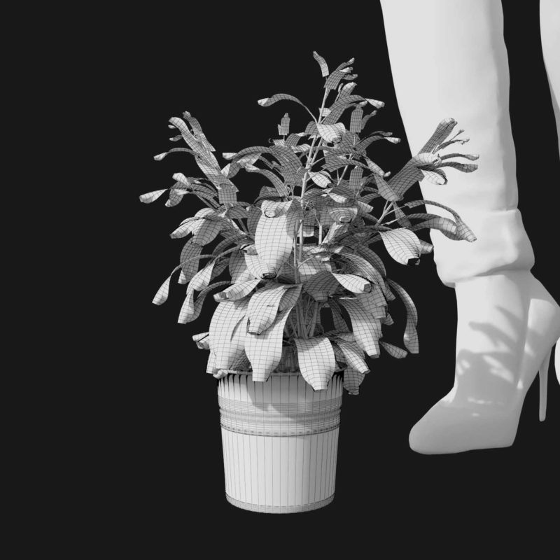 Sage Herb (v1) VIZPLANTS